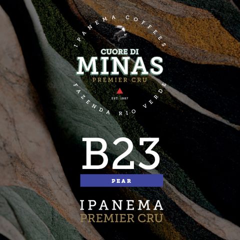 b23-pear