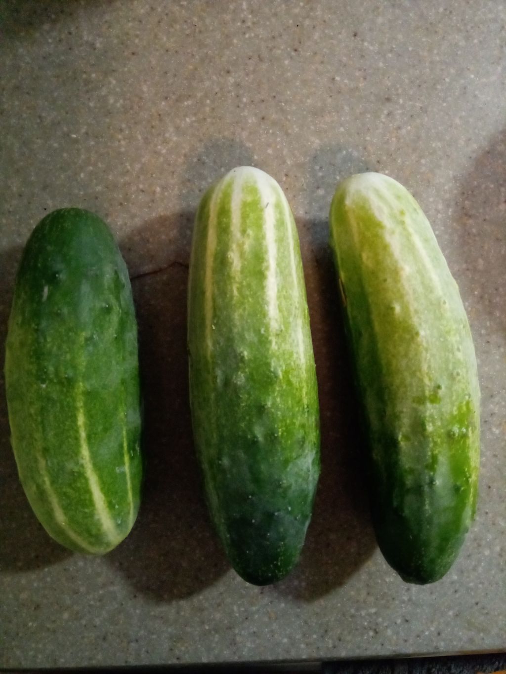 cucumbers.jpg