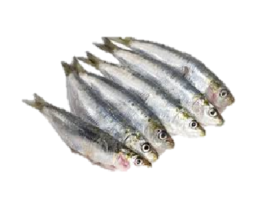 Dried Tamban Fish Ikan Tamban Kering 200g Pasar Mini Segar Ria Jaya