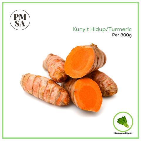 Kunyit Hidup.png