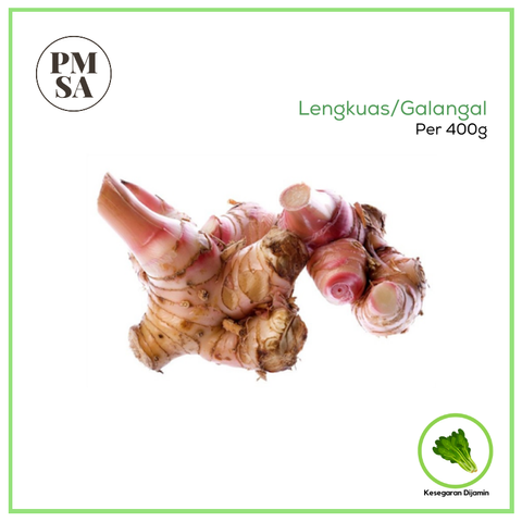 Lengkuas.png