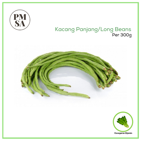 Kacang Panjang.png