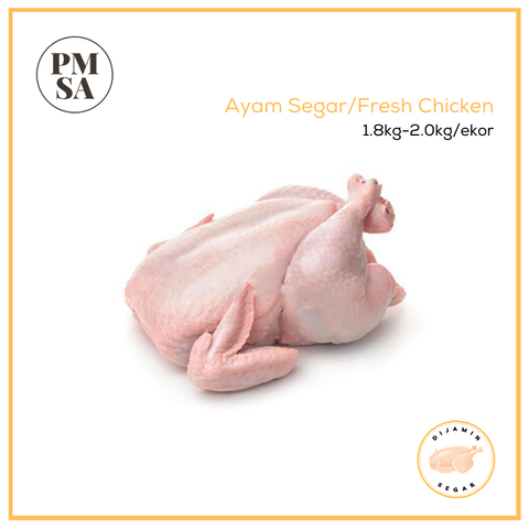 Ayam Segar.png