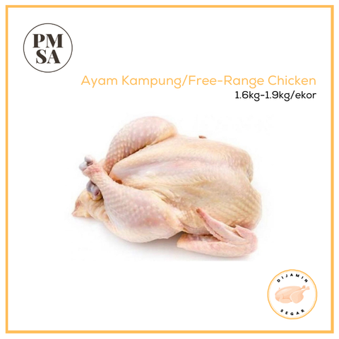 Ayam Kampung.png