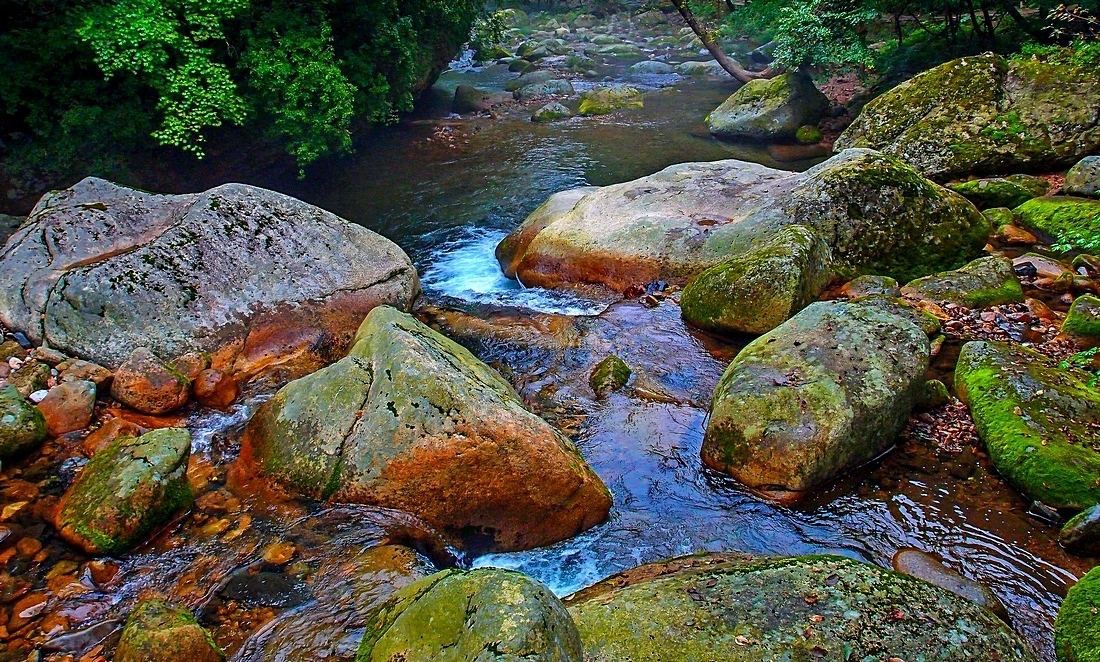 565B085E-08AA-4F29-8987-6CA5819DD9D4.jpeg 565B085E-08AA-4F29-8987-6CA5819DD9D4.jpeg