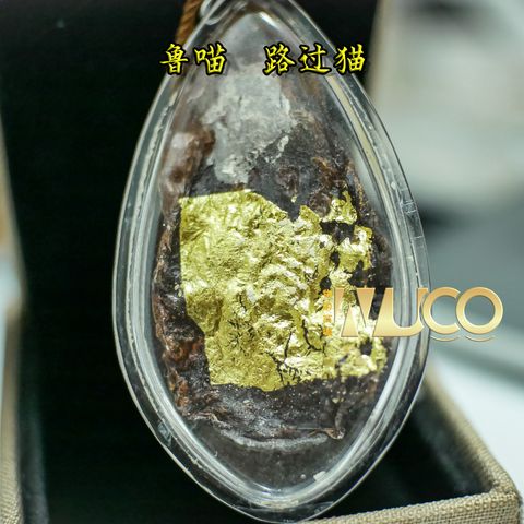 鲁喵-路过猫-WUCO.jpg