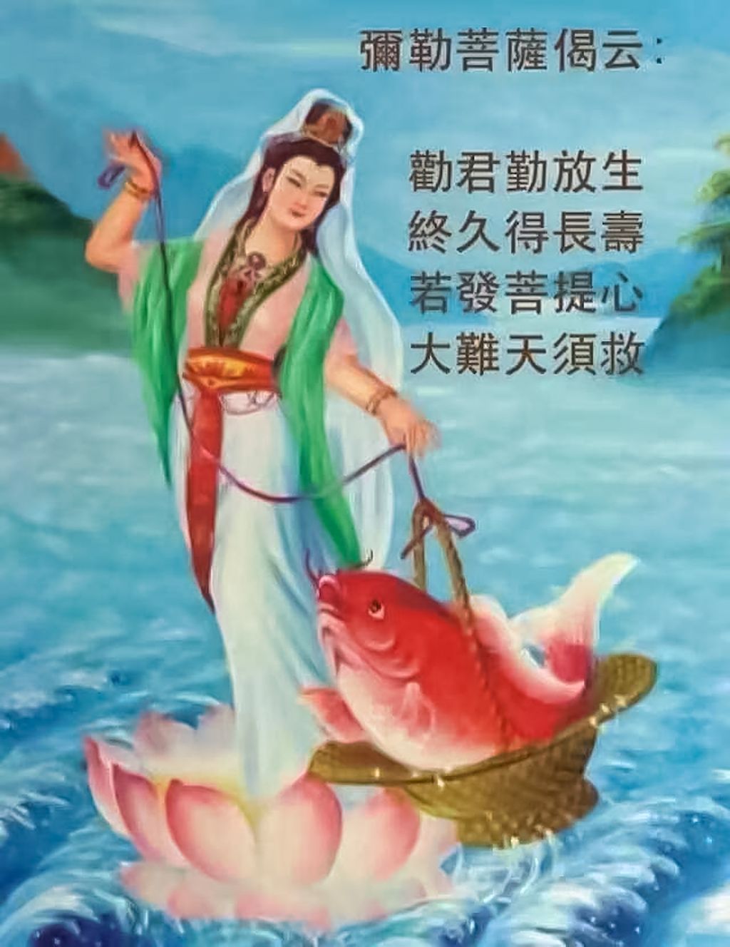 3E7EA7F6-9882-4934-A83C-01A640B481A4.jpeg