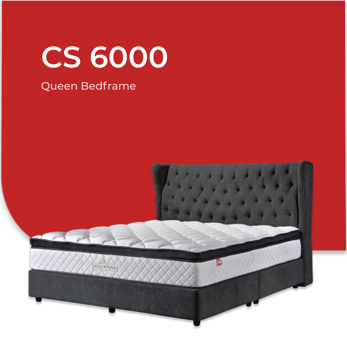 CS 6000-1.jpg