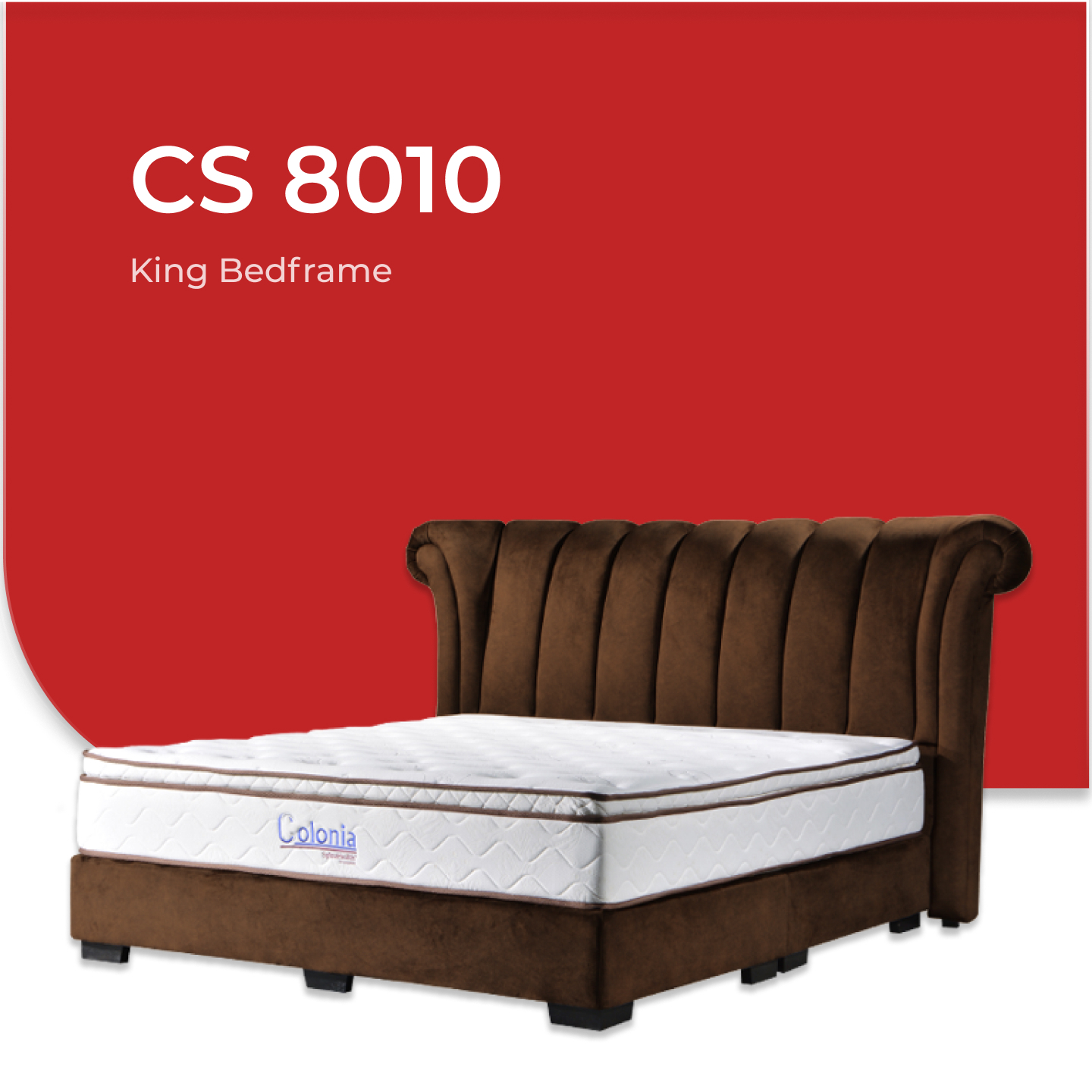 CS 8010-2.jpg