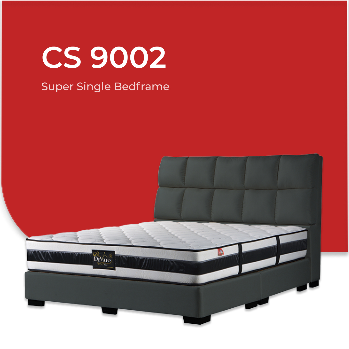 CS  9002-2.jpg