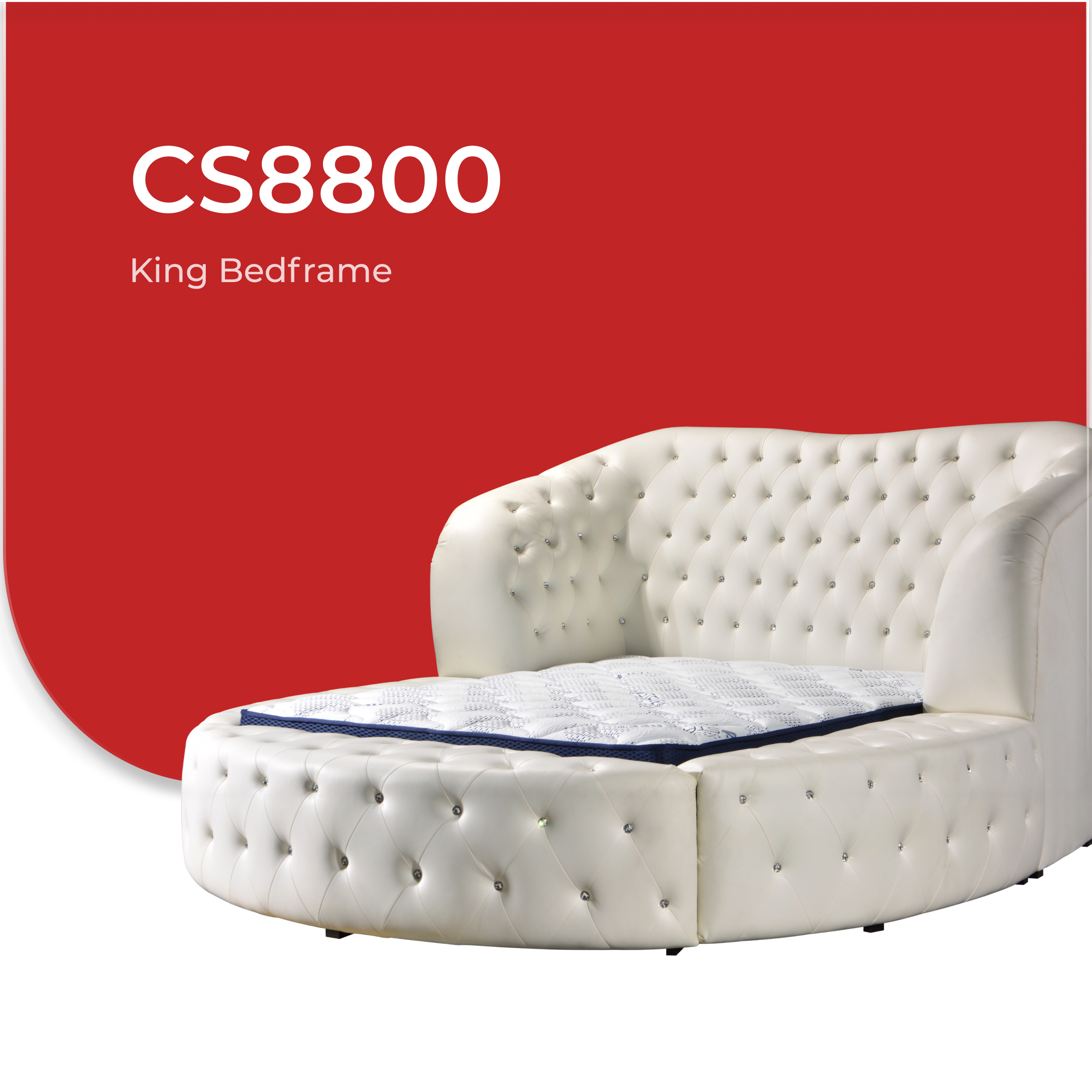 CS8800 5.jpg