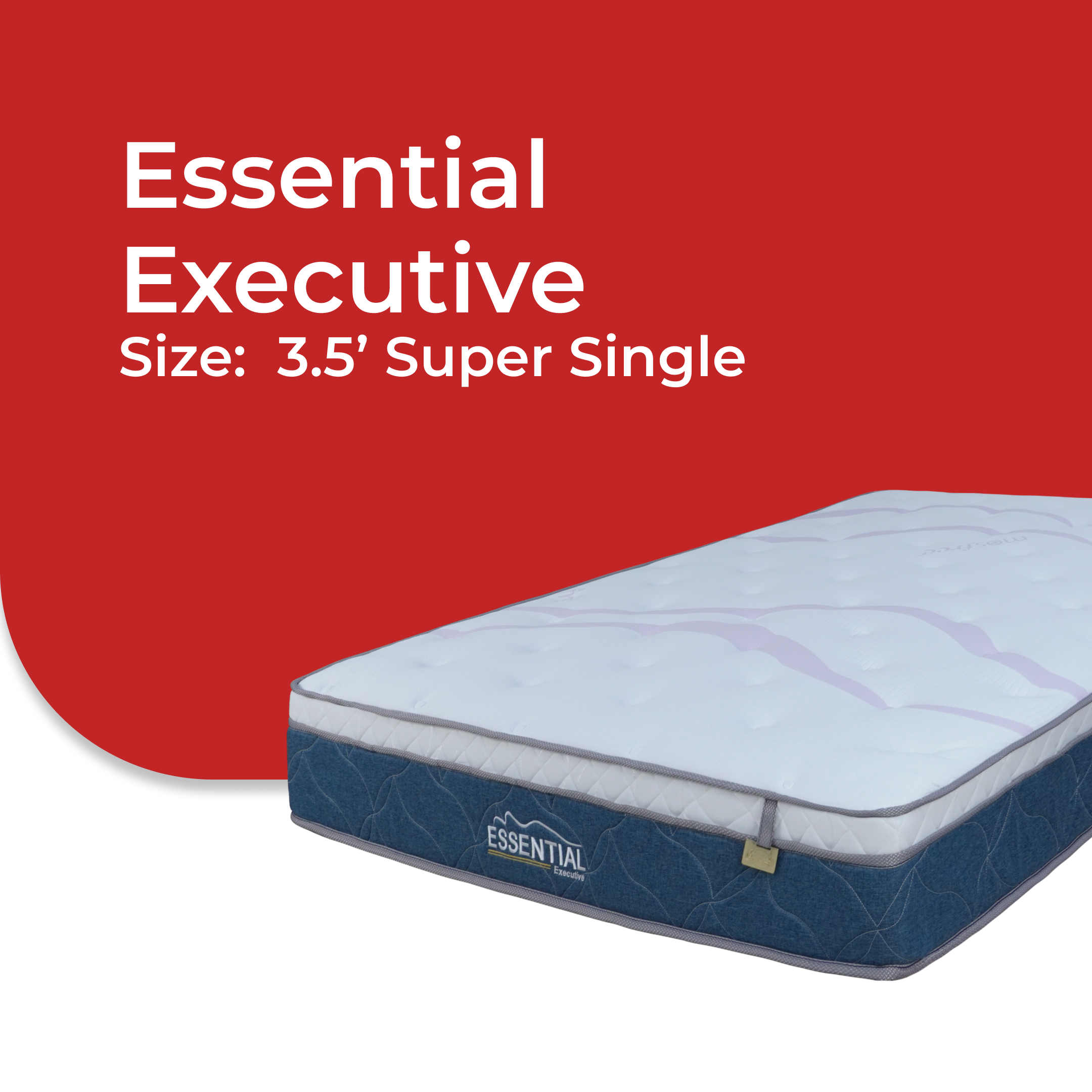 Essential Executive -V2