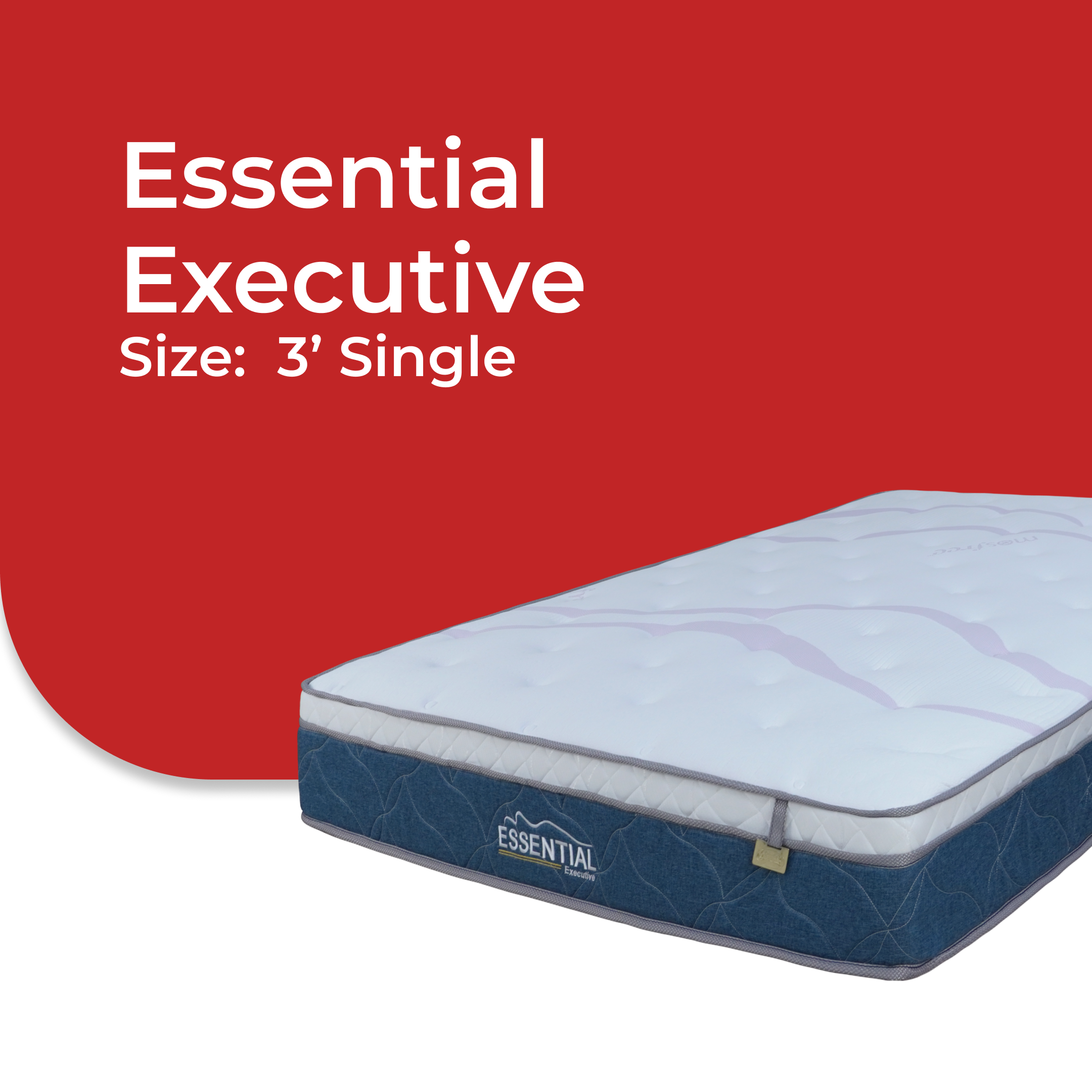 Essential Executive -V1