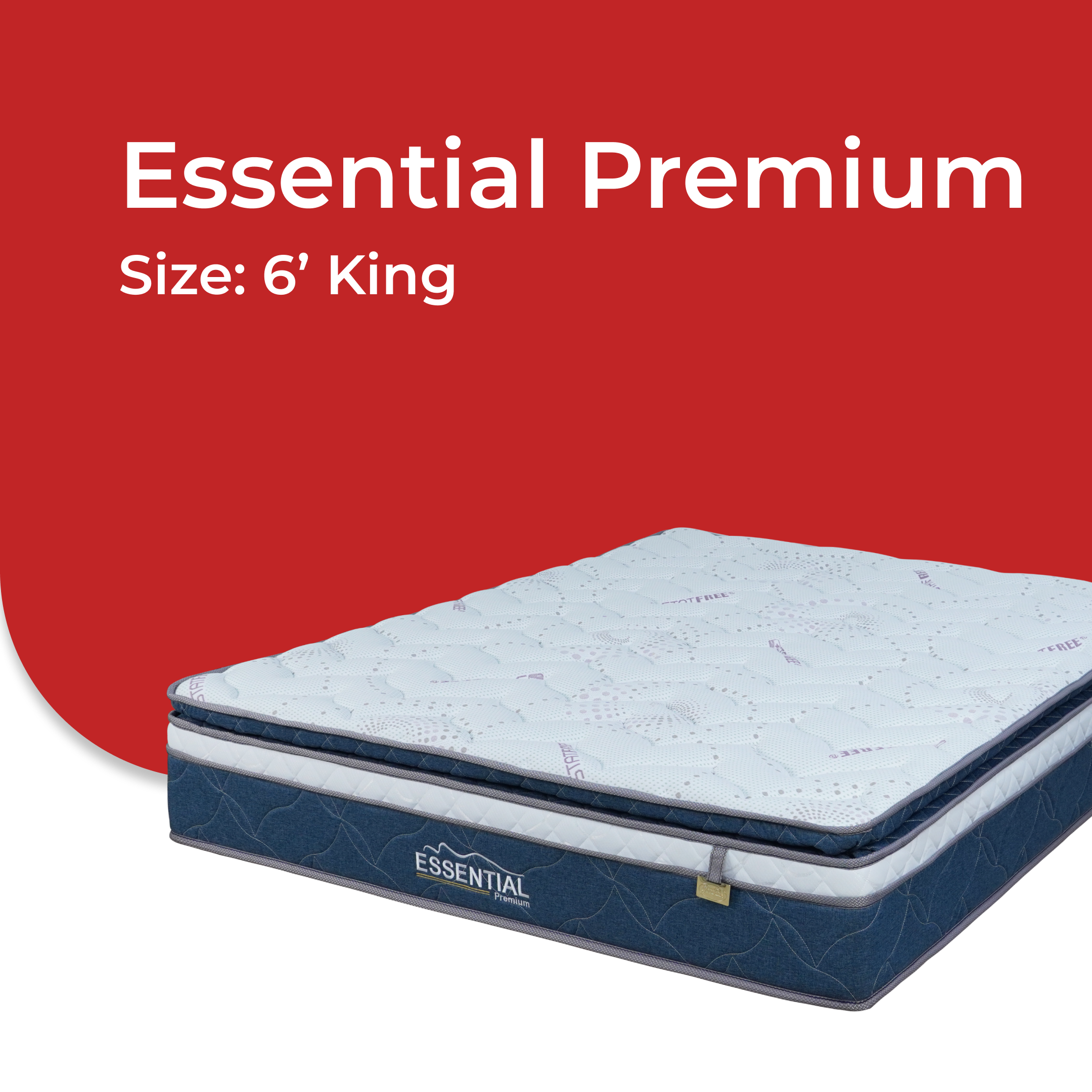 Essential Premium -V4