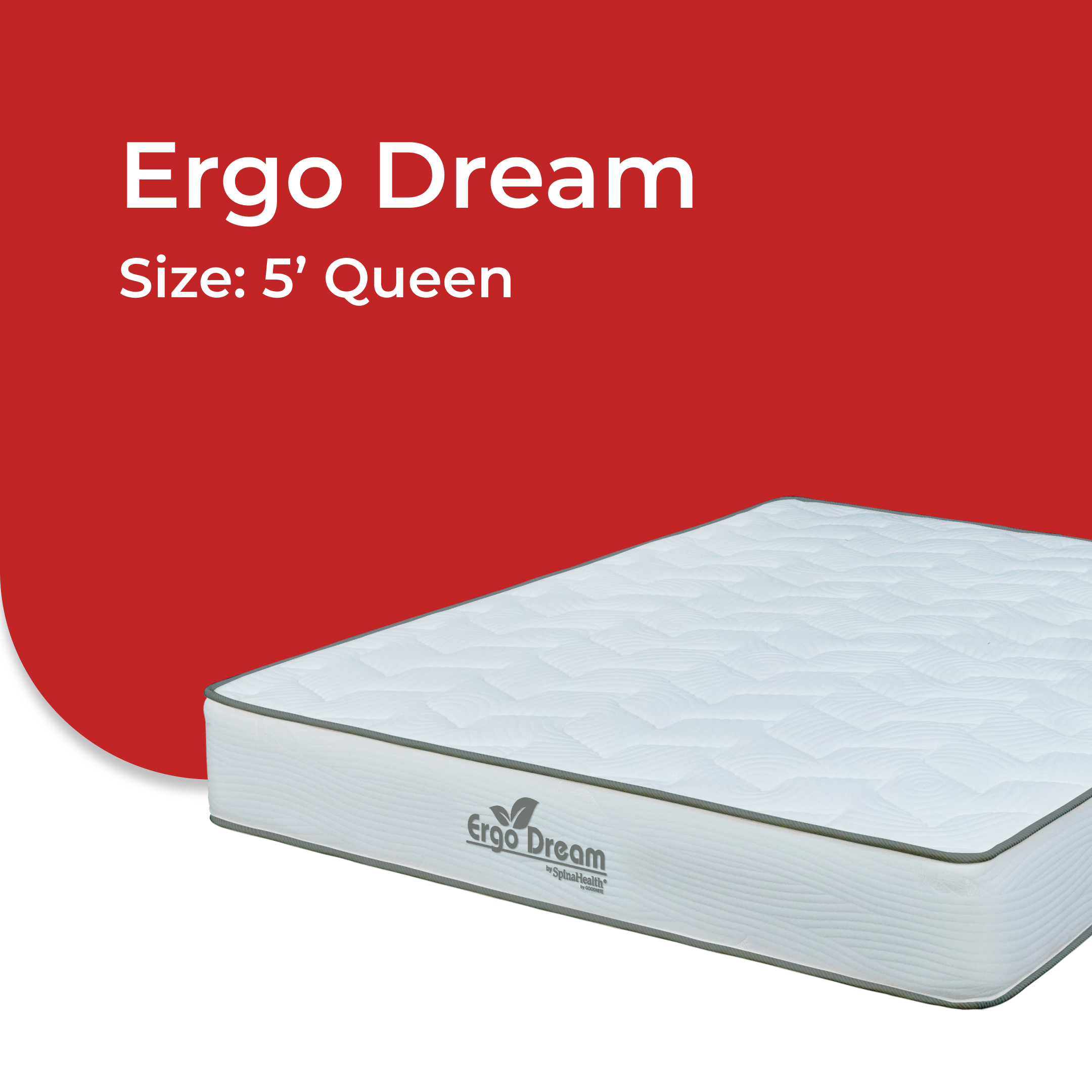 Ergo Dream  -V3