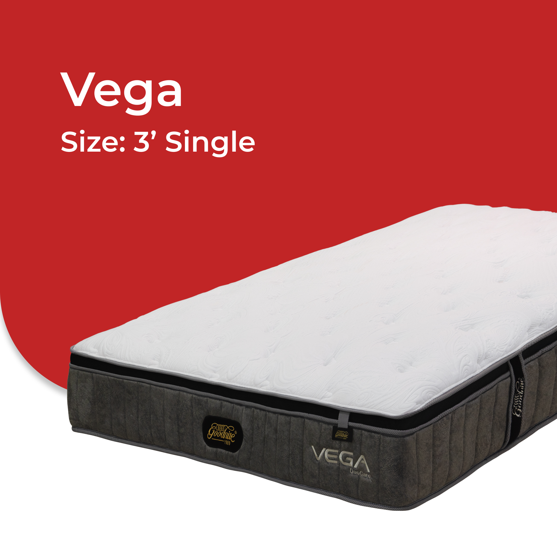 Vega -V1