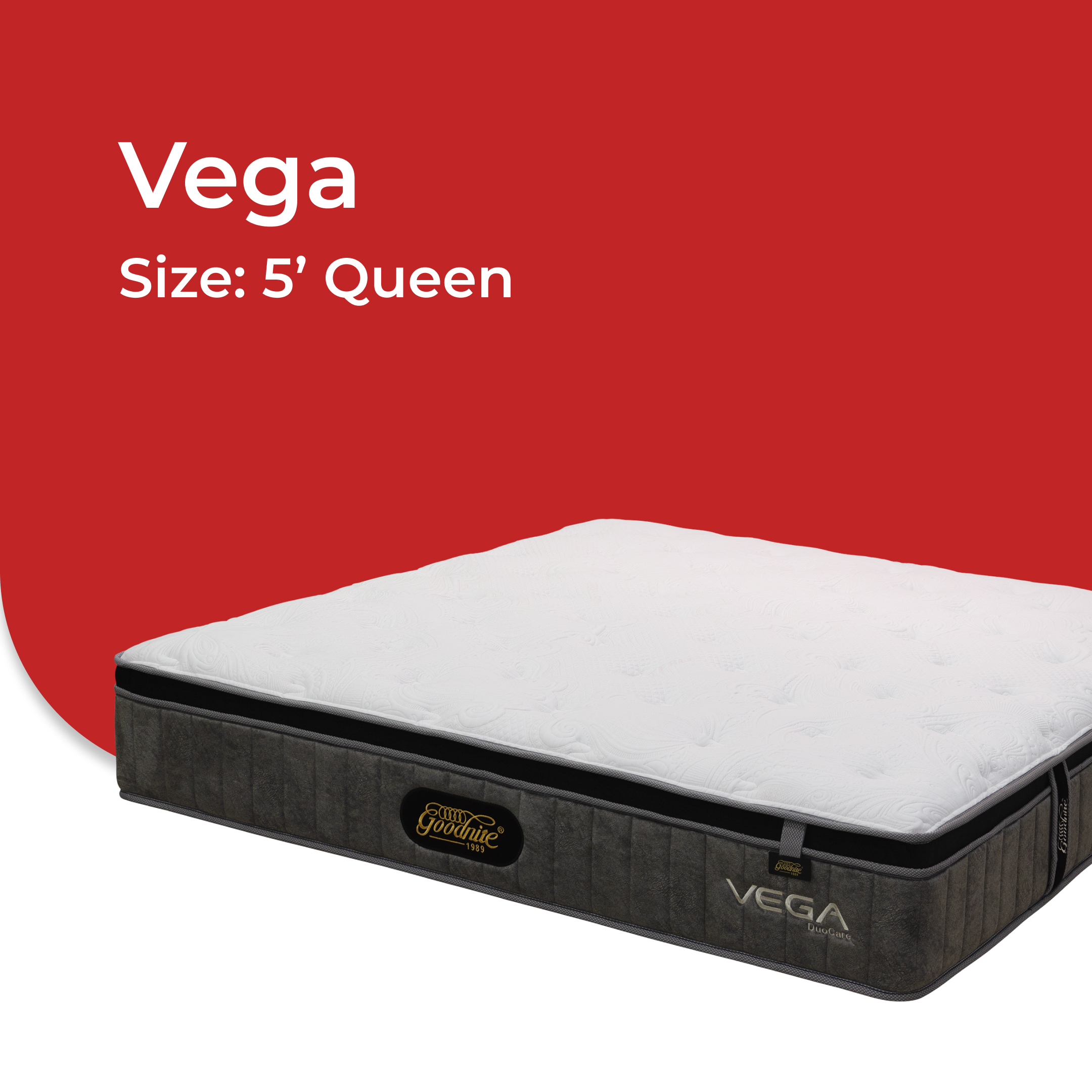 Vega -V3