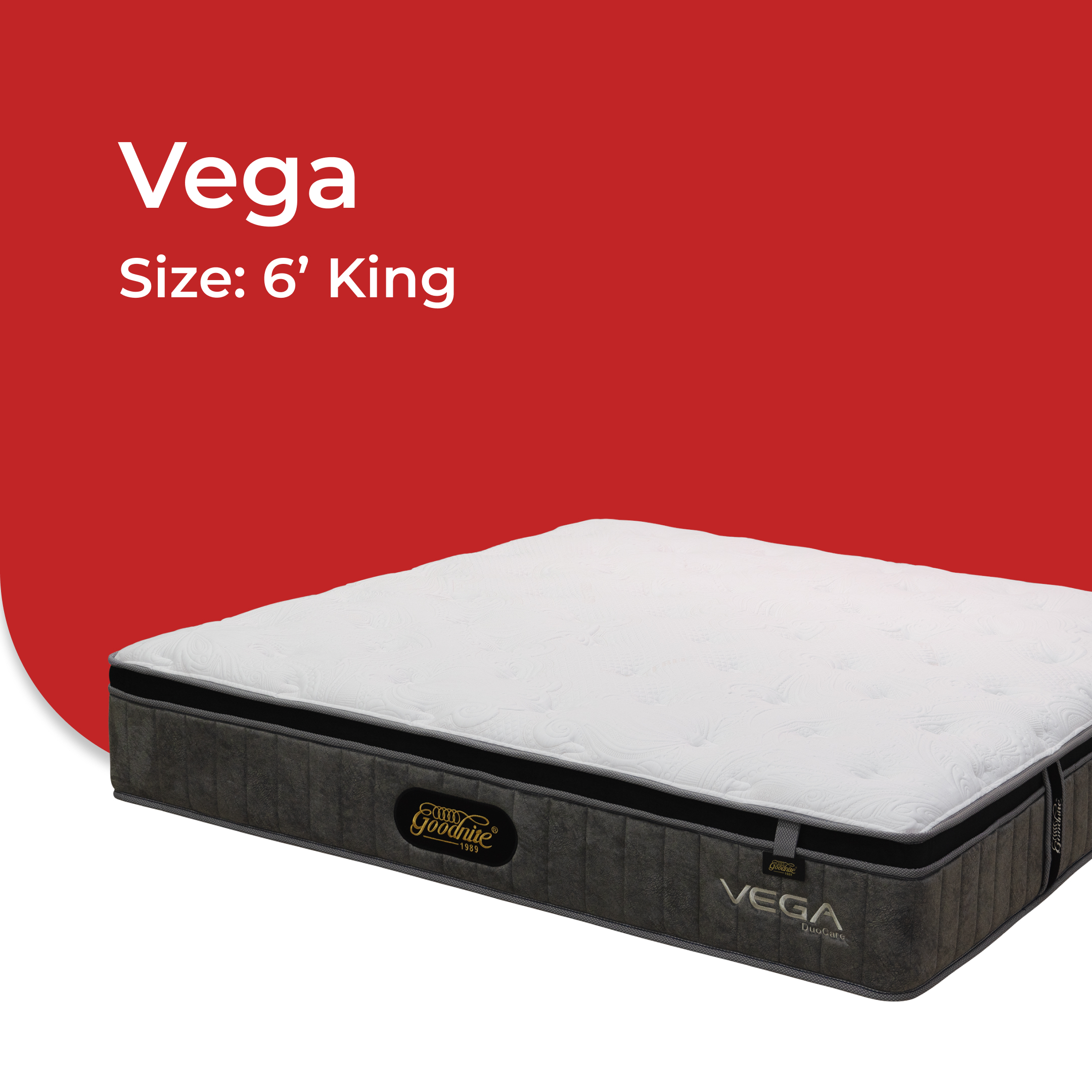 Vega -V4