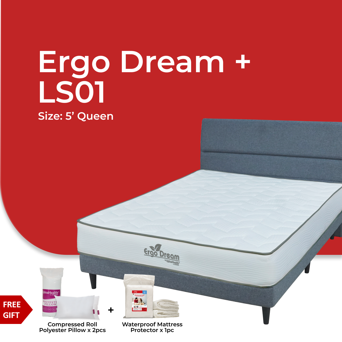 Ergo Dream + LS01 -02