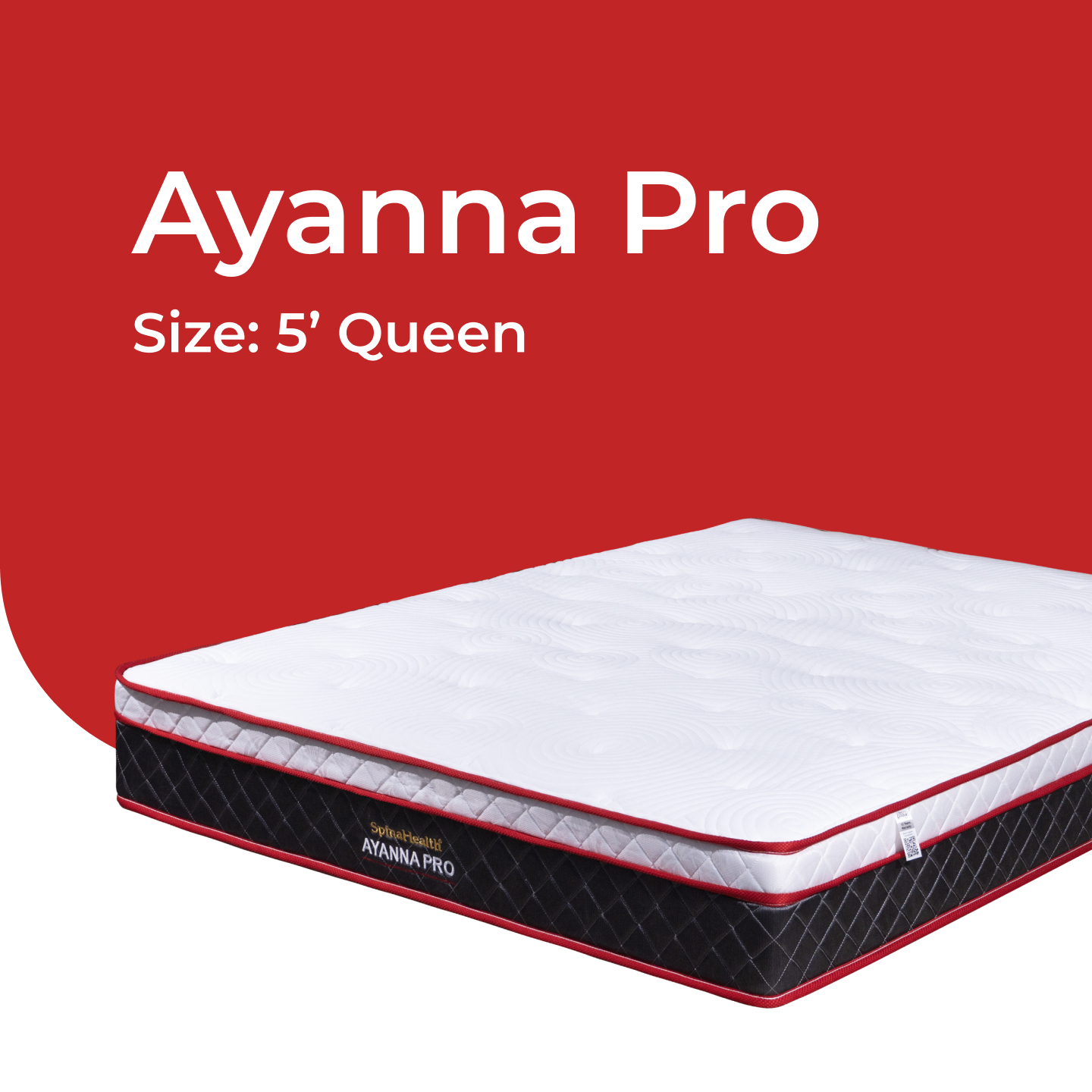 Ayanna Pro v2