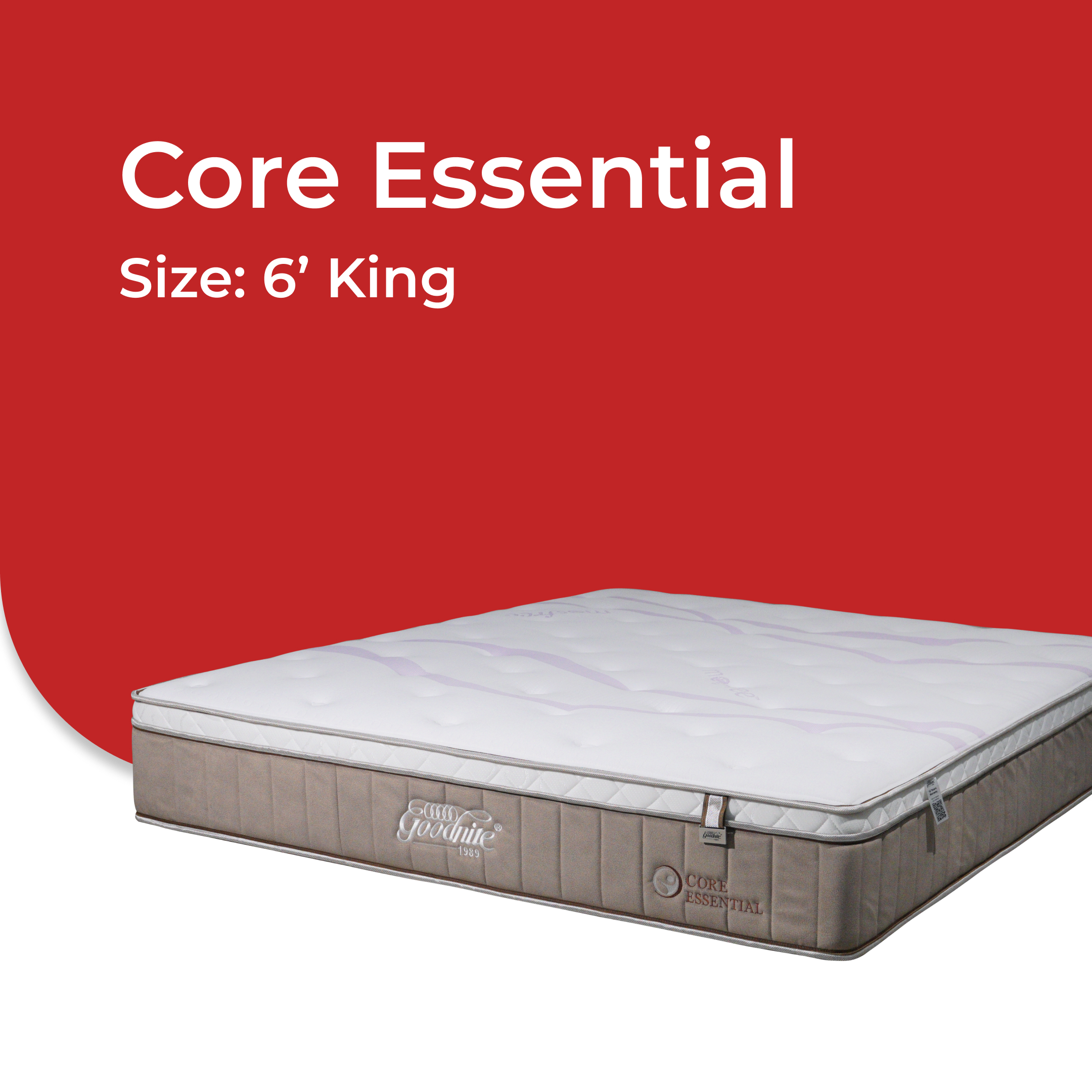 Core Essential -V4