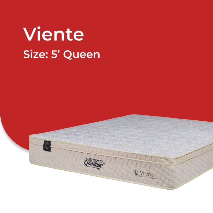 Viente -V3