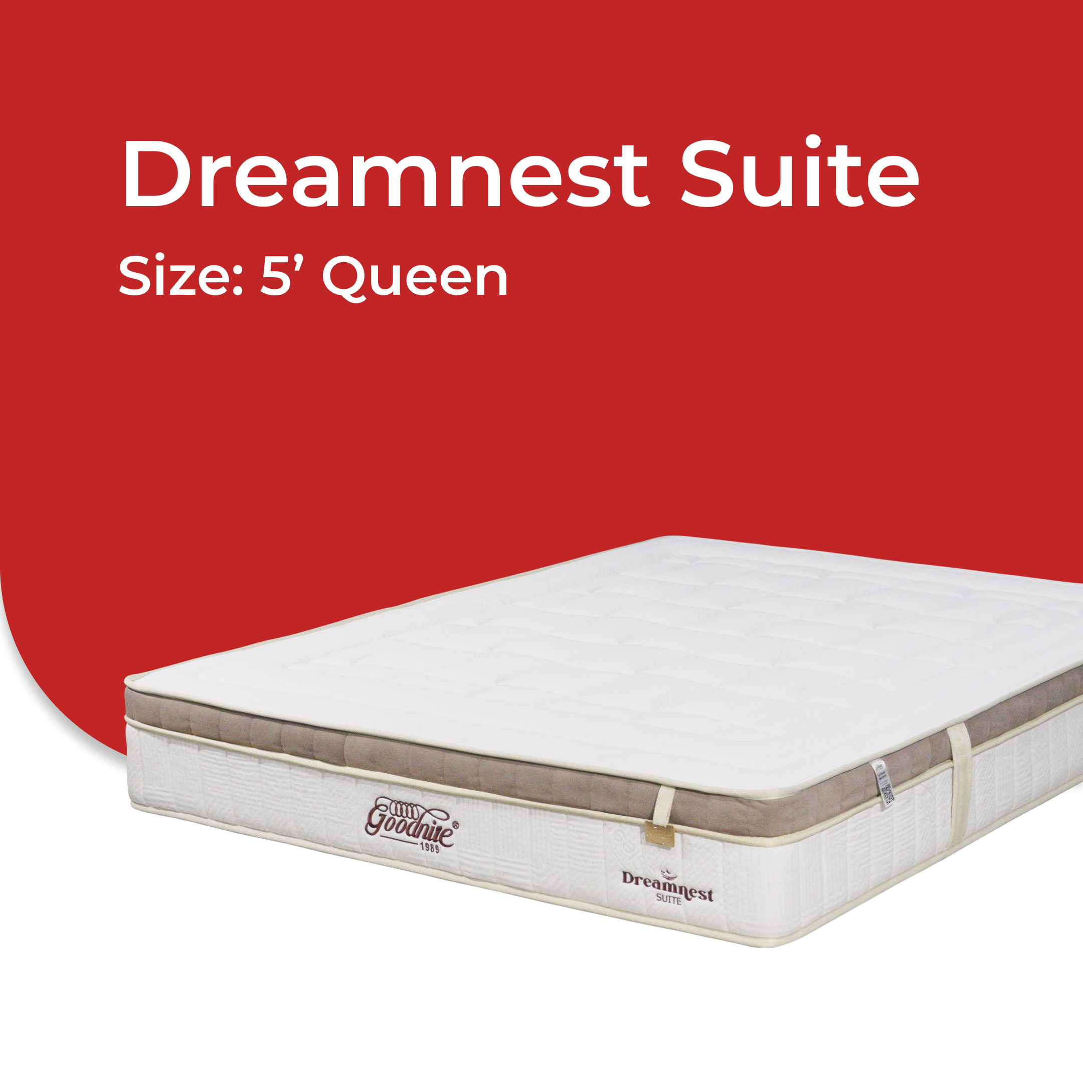 Dreamnest Suite -V3