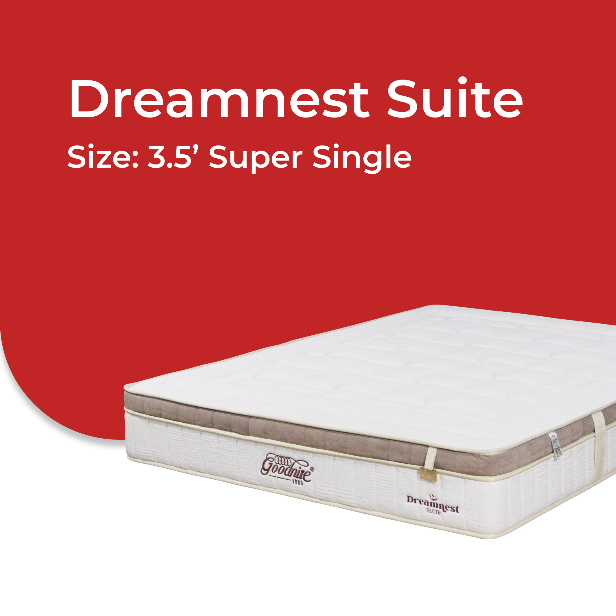 Dreamnest Suite -V2