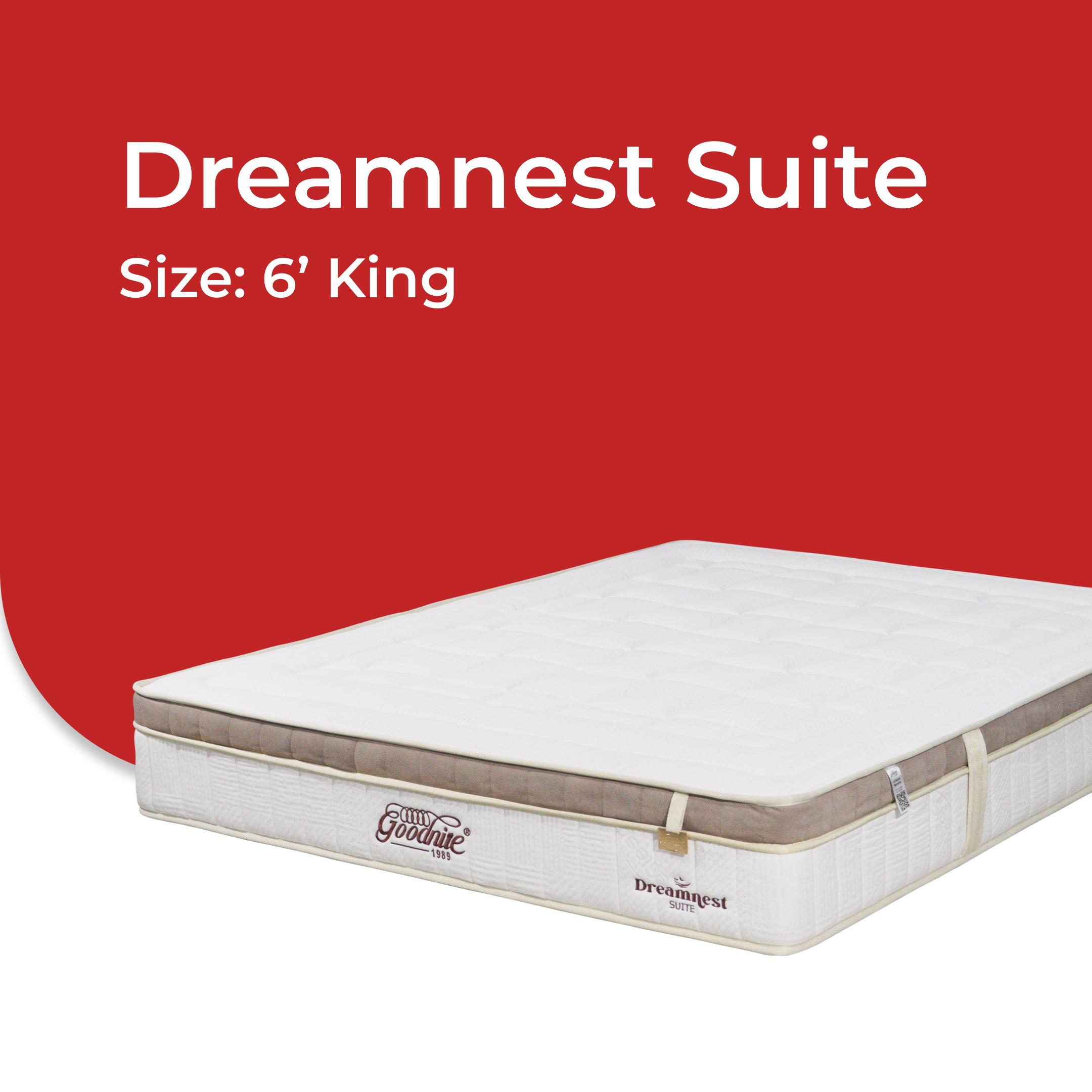 Dreamnest Suite  -V4