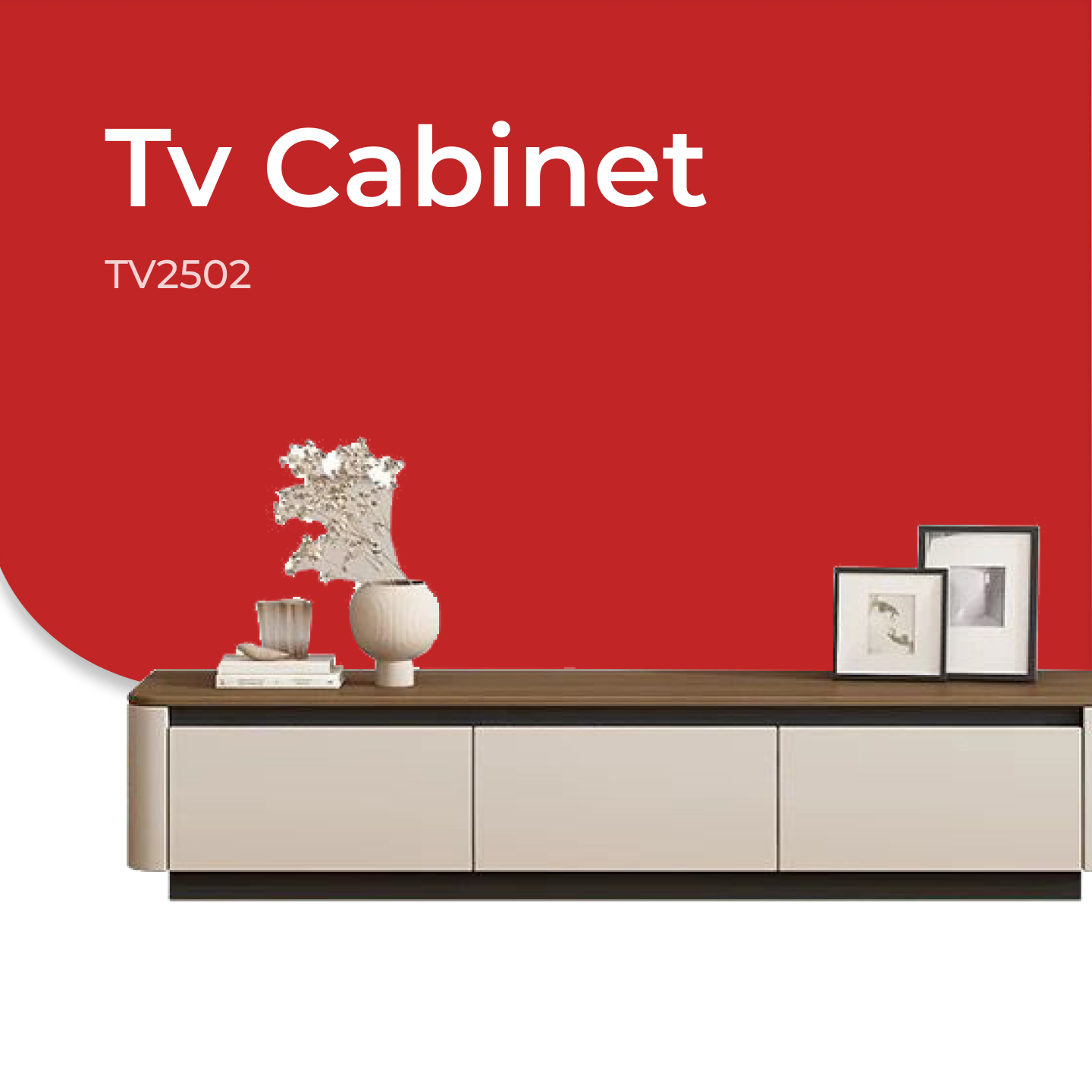 TV2502 + CT2502  -6