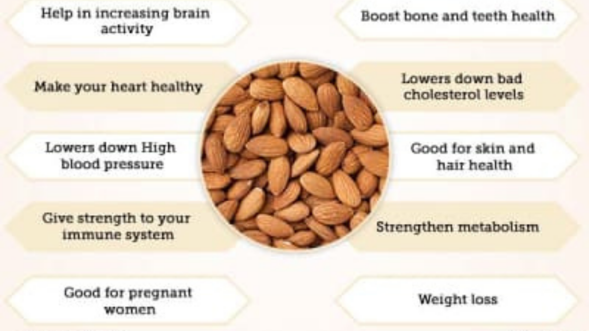5 Khasiat Kacang Badam Untuk Ibu Hamil Carry Nuts