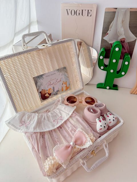 Mini Luggage Series