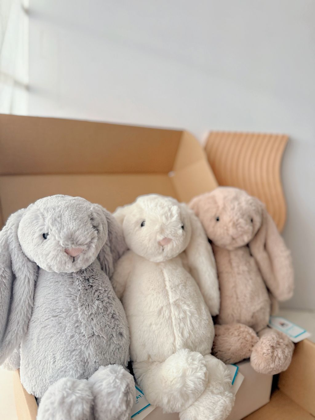 image_75BC9FDE-CECA-457C-8FBA-D94553C74116_1761201653