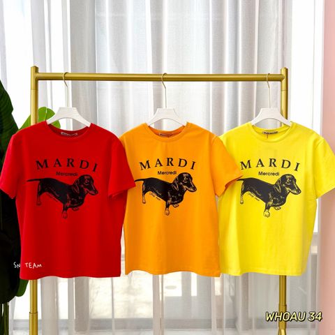 图像24-03-26 下午1.45