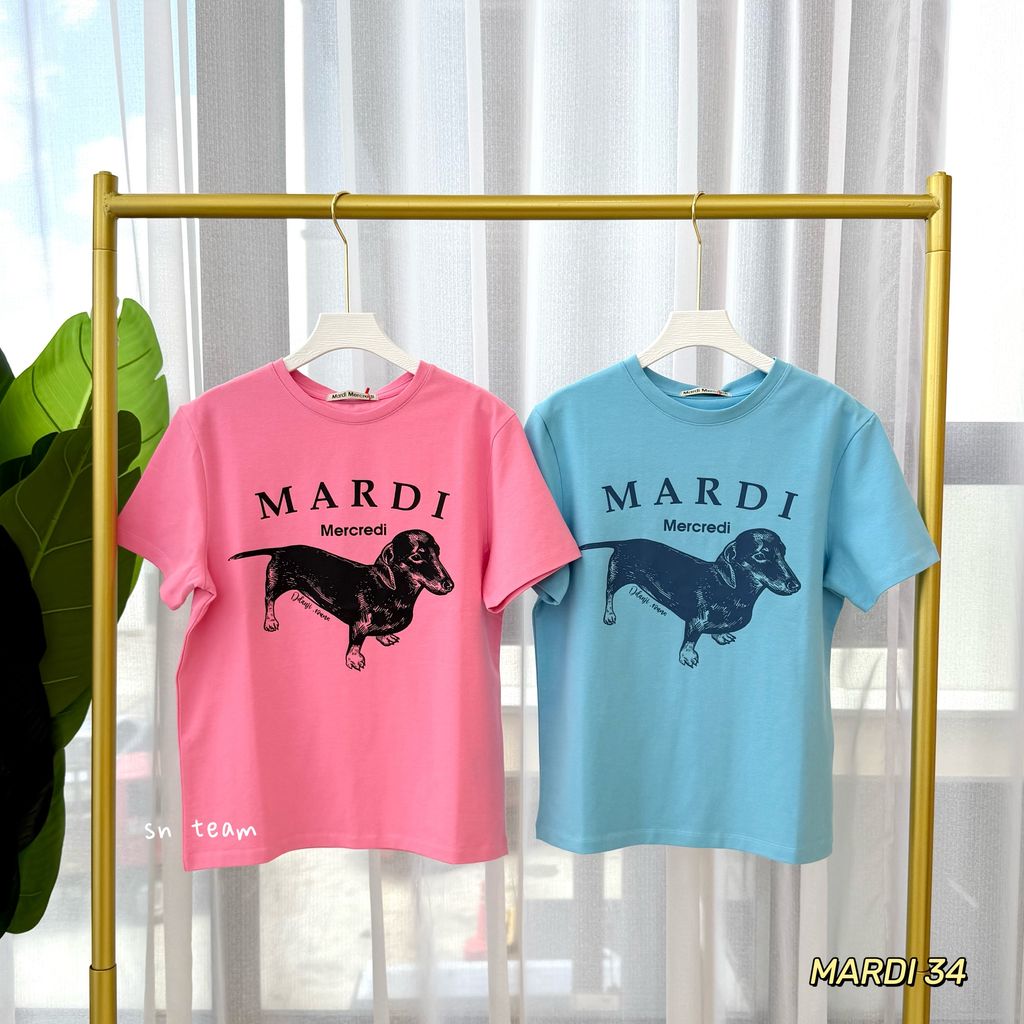 图像24-03-26 下午1.45 (1)