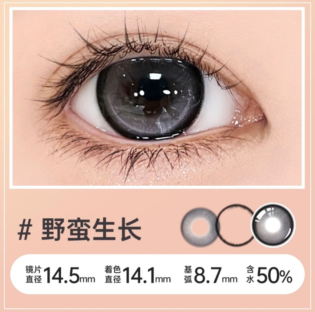 盤14.5mm