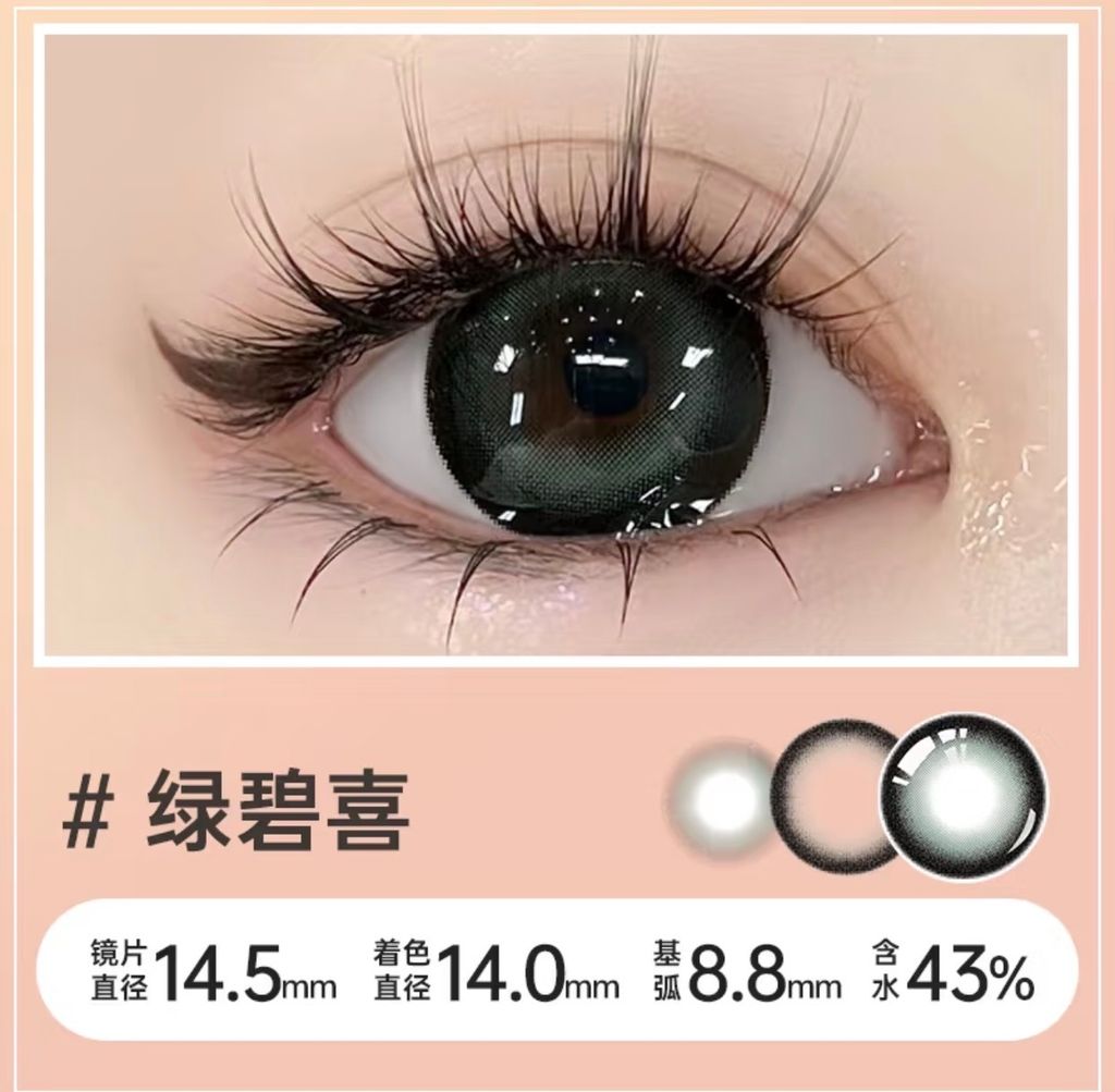 盤14.5mm