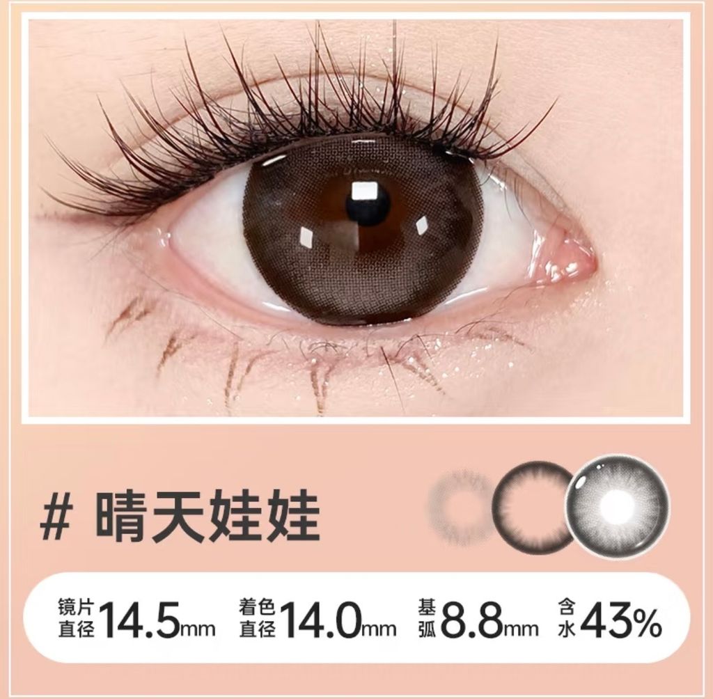 盤14.5mm