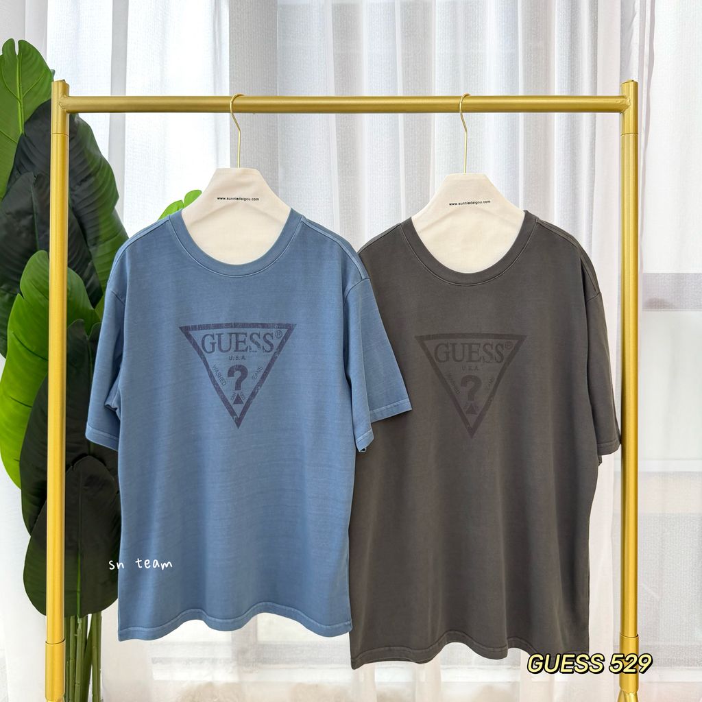 GUESS 529 (1)