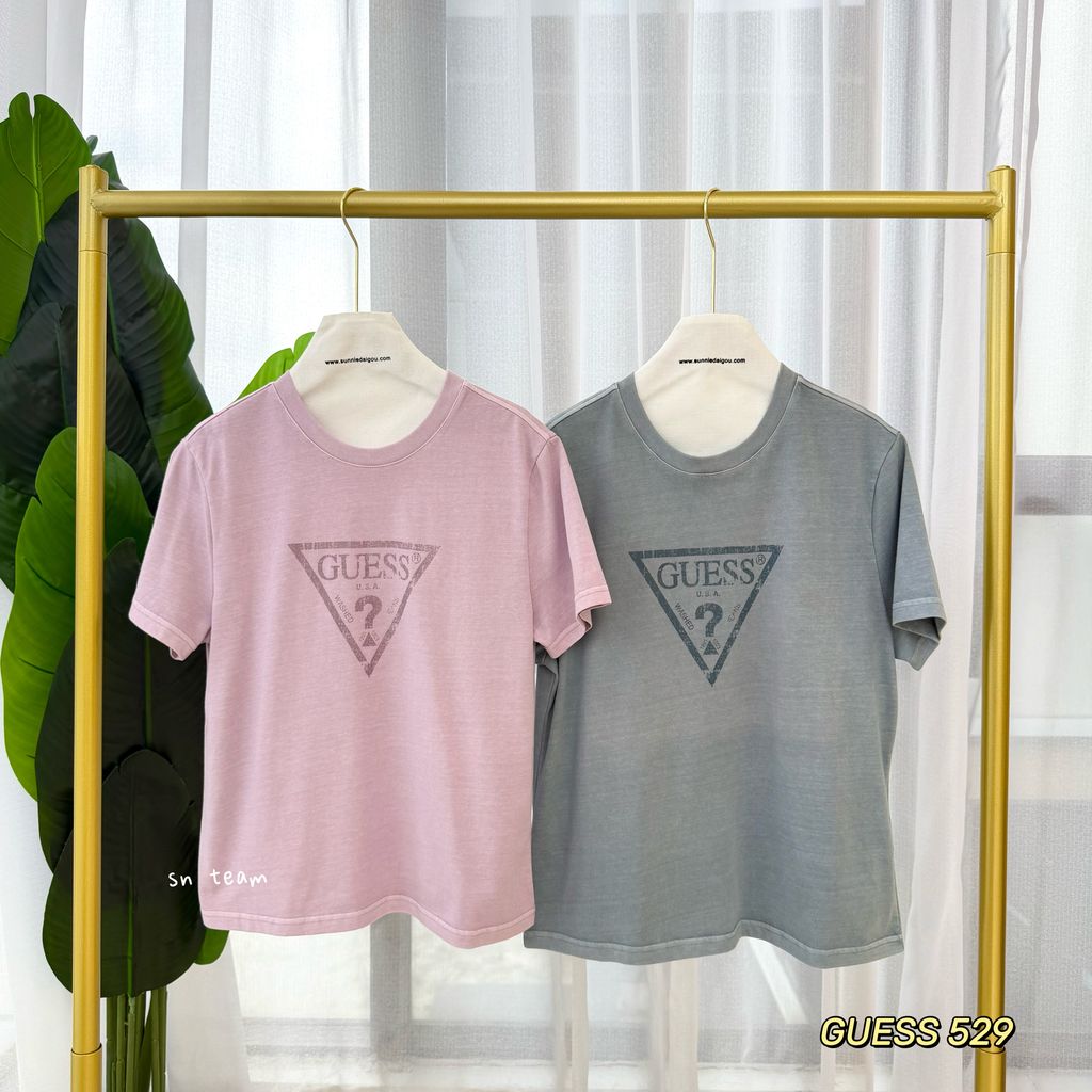GUESS 529