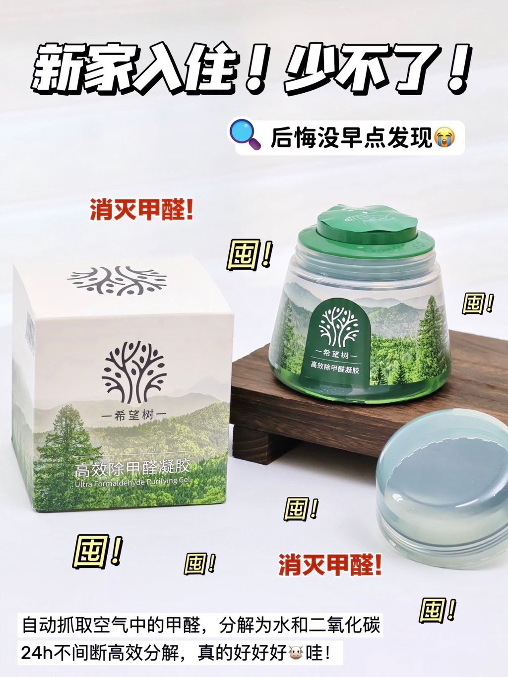 图像24-08-26 上午11.58 (1)