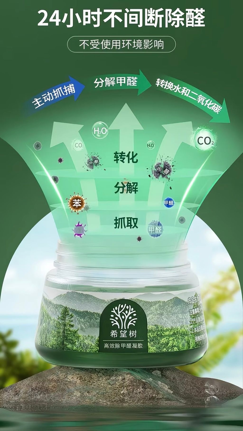 图像24-08-26 下午12.05 (3)