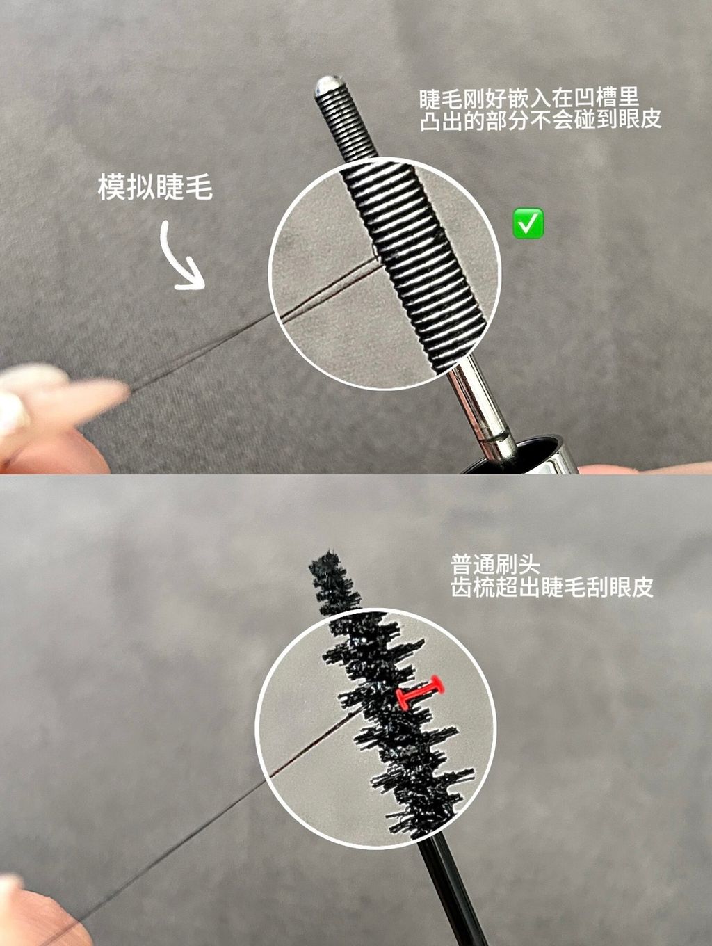 图像24-06-25 下午5.25 (3)