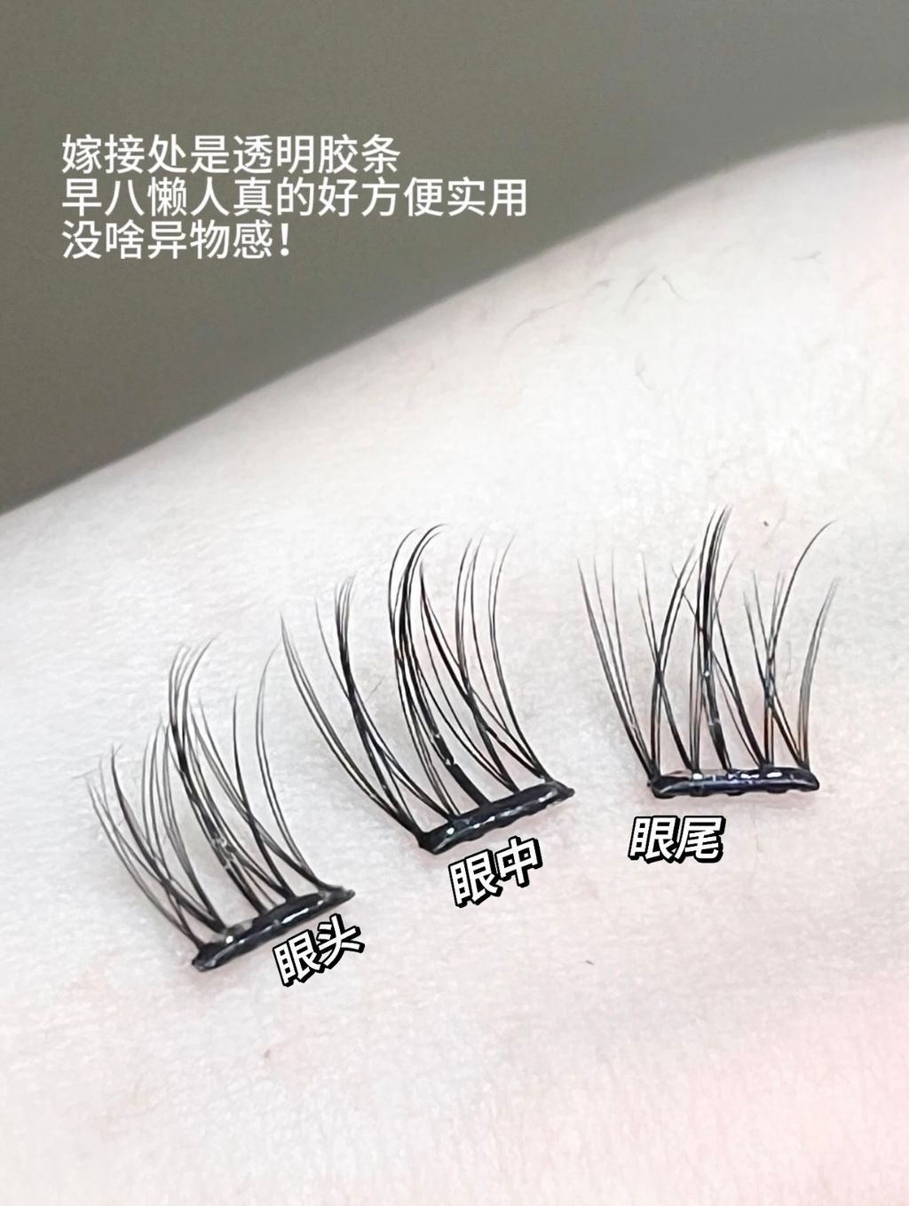嫁接处是透明胶条