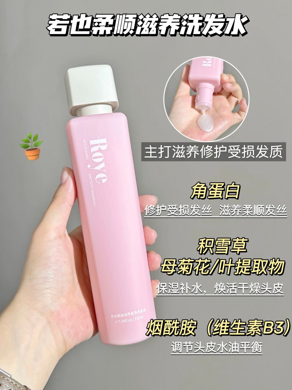主打滋养修护受损发质