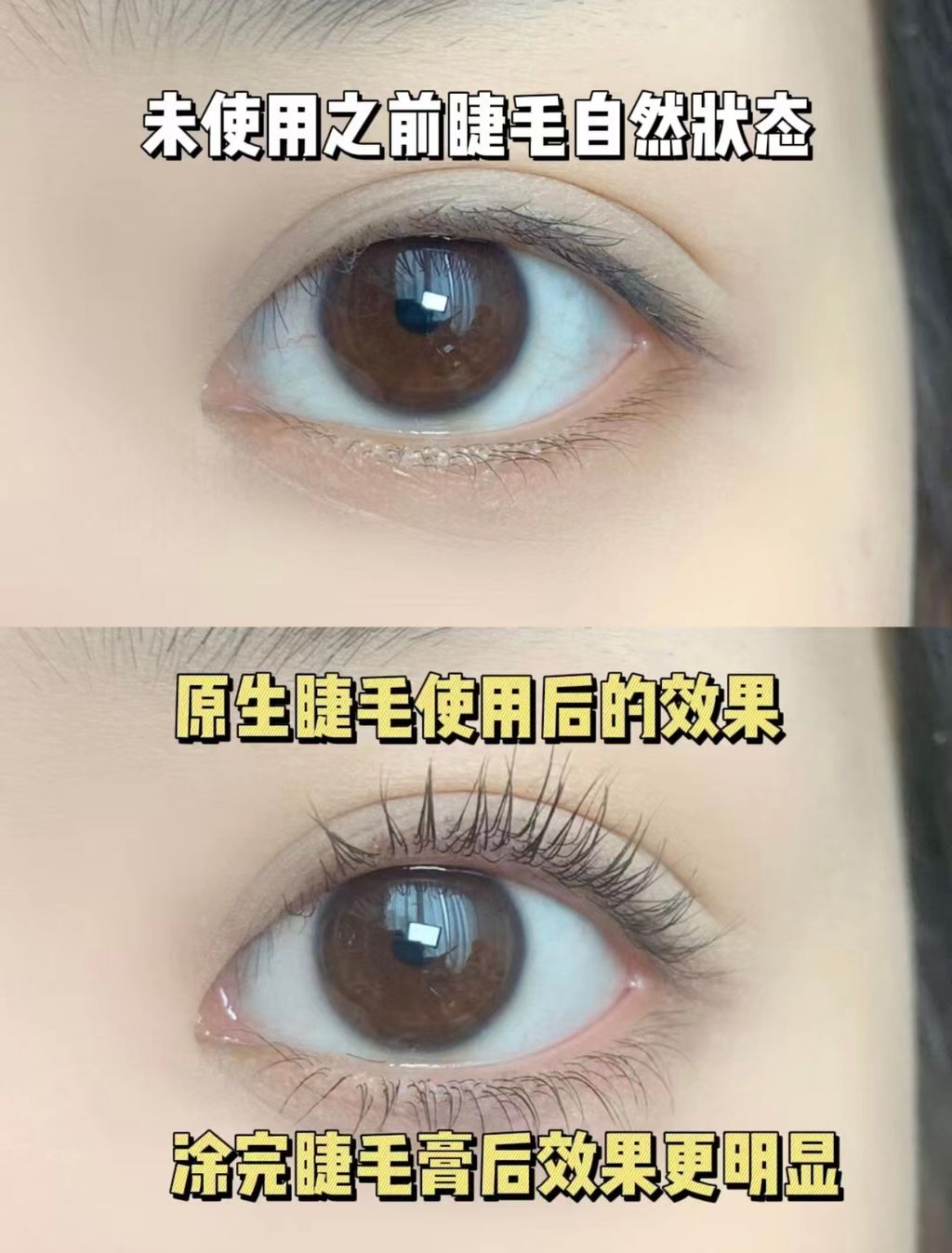 未使用之前睫毛自然狀态