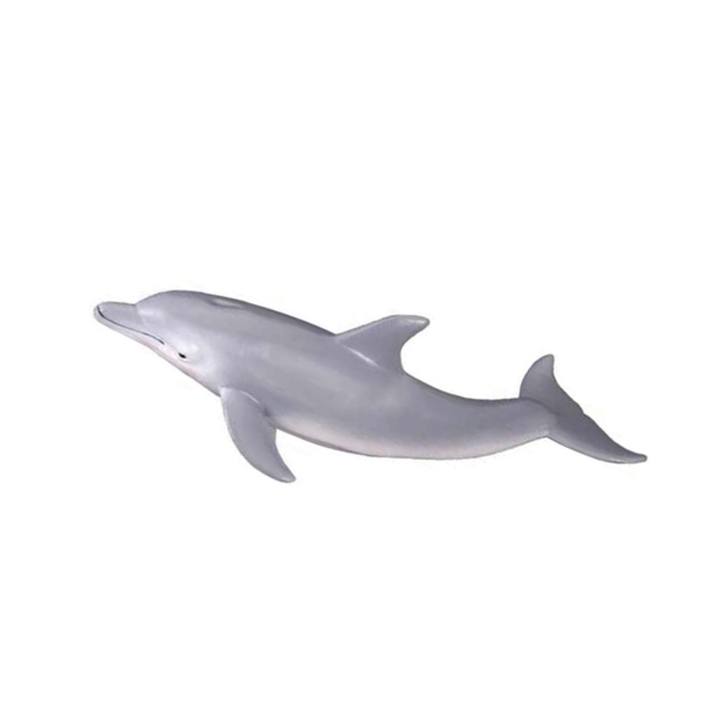 瓶鼻海豚 15x4.5cm.jpeg
