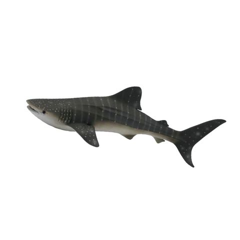 鯨鯊24.5x7cm.jpeg