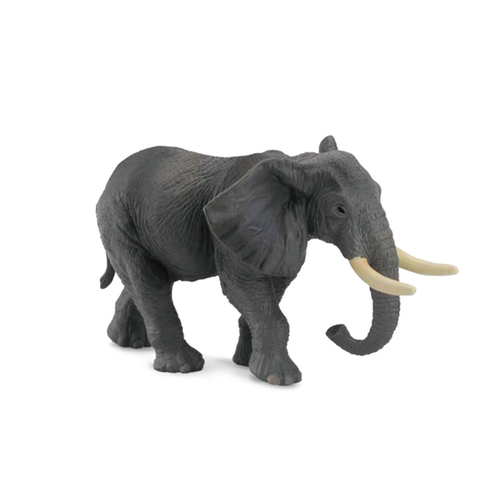 非洲大公象 16.5x9.5cm.jpeg