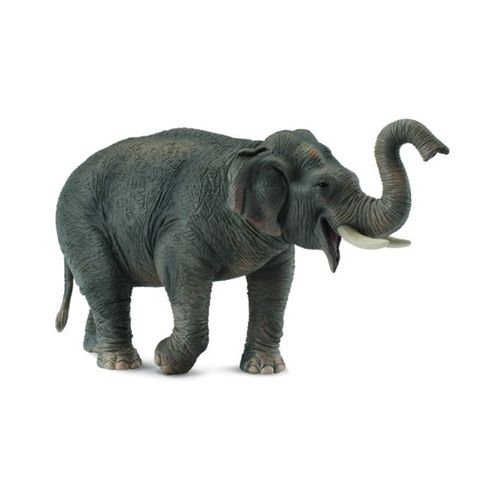 亞洲象 15x8.5cm.jpeg
